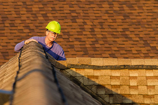 Roof Waterproofing Services in Delhi, LA