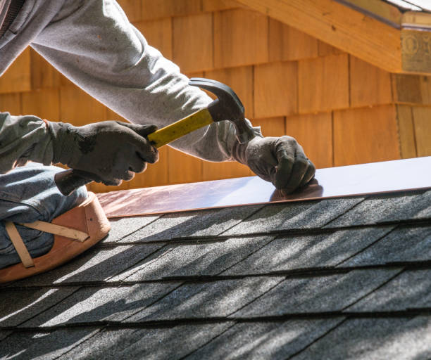 Best Roof Gutter Cleaning  in Delhi, LA